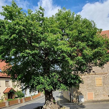 Ferienwohnung Zur Linde Деттельбах Экстерьер фото